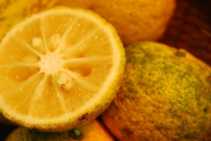 Kistermelők a világ minden részéről