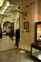 Nagy Furmint Február kóstoló 2013