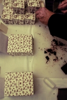 Nagy Furmint Február kóstoló 2013