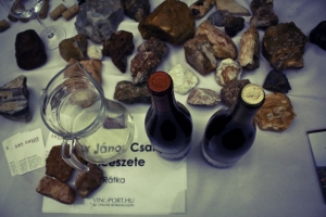 Nagy Furmint Február kóstoló 2013