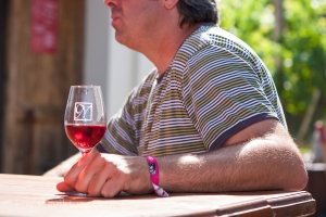 Iván-völgyi Kadarka Túra 2013