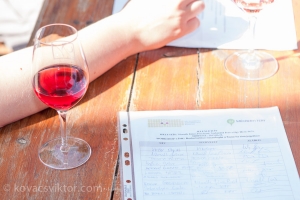 Iván-völgyi Kadarka Túra 2013