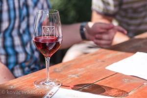 Iván-völgyi Kadarka Túra 2013