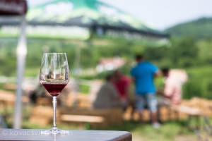 Iván-völgyi Kadarka Túra 2013