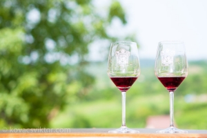 Iván-völgyi Kadarka Túra 2013