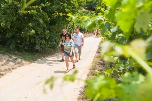 Iván-völgyi Kadarka Túra 2013