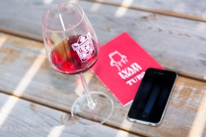 Iván-völgyi Kadarka Túra 2013