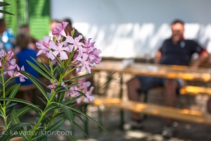 Iván-völgyi Kadarka Túra 2013