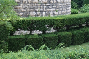 Chateau-tól kastélyig