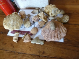 La route des grands crus - a top burgundi borok útja