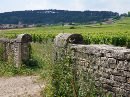 La route des grands crus - a top burgundi borok útja