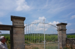 La route des grands crus - a top burgundi borok útja