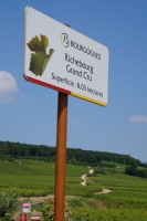 La route des grands crus - a top burgundi borok útja