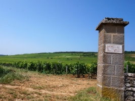 La route des grands crus - a top burgundi borok útja