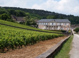 La route des grands crus - a top burgundi borok útja