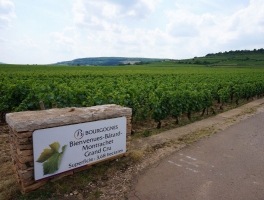 La route des grands crus - a top burgundi borok útja