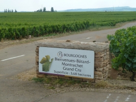 La route des grands crus - a top burgundi borok útja