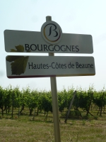 La route des grands crus - a top burgundi borok útja