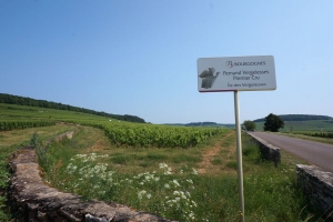 La route des grands crus - a top burgundi borok útja