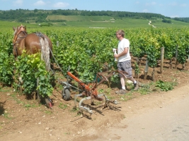 La route des grands crus - a top burgundi borok útja