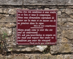 La route des grands crus - a top burgundi borok útja