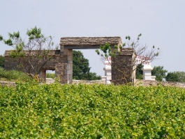 La route des grands crus - a top burgundi borok útja