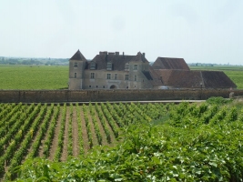 La route des grands crus - a top burgundi borok útja