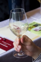 Nagy Olaszrizling Kóstoló képekben