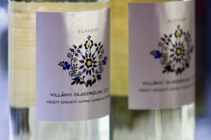 Nagy Olaszrizling Kóstoló képekben