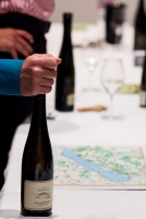 Nagy Olaszrizling Kóstoló képekben