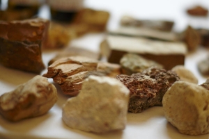 Több, mint egy egész estés kóstoló...