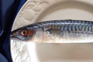 Jubileumi bál dűlőszelektált furmintokkal