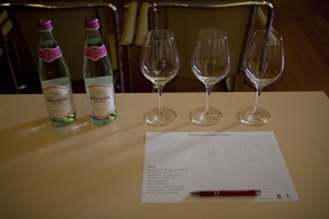 Nagy Kékfrankos Kóstoló 2014 képekben