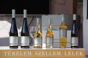 Új síkra emelték a rakott krumplit