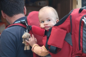 Új síkra emelték a rakott krumplit