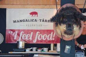 Új síkra emelték a rakott krumplit