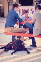 Új síkra emelték a rakott krumplit