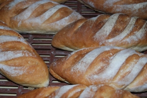 Országos Rosé Kóstoló