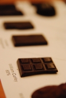 Monarchia Portfolió Kóstoló 2008.