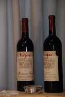 Závada Pál felolvasóestje Vylyan borokkal