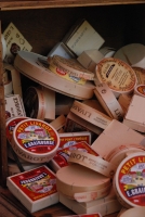 Tokaj Reneszánsz évjárat-bemutató 2008.