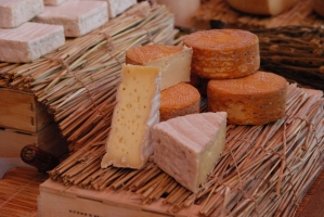 Tokaj Reneszánsz évjárat-bemutató 2008.