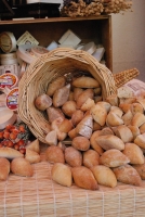 Tokaj Reneszánsz évjárat-bemutató 2008.