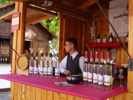 Budapesti Pálinka Fesztivál 2008