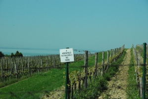 Nem ússza meg szárazon! 2.