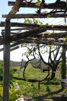 Nem ússza meg szárazon! 2.