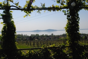 Nem ússza meg szárazon! 2.