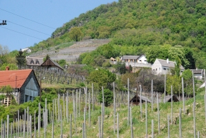 Nem ússza meg szárazon! 2.