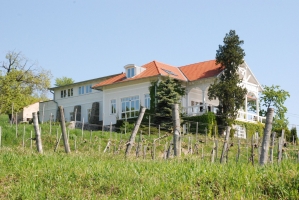 Nem ússza meg szárazon! 2.