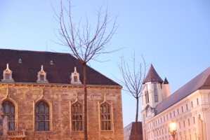 Fél évesek vagyunk